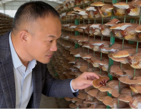 0928464251728988.png 图片 3.png