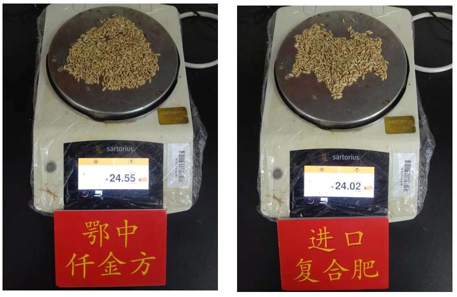 1206299843720511.jpg 2.jpg