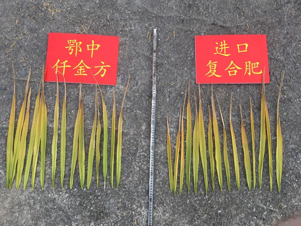 1206426776871030.jpg 1.jpg