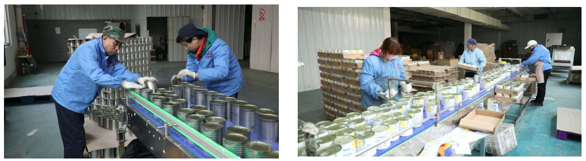 1023439135586537.png 1.png