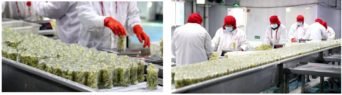 1024127170285789.png 3.png