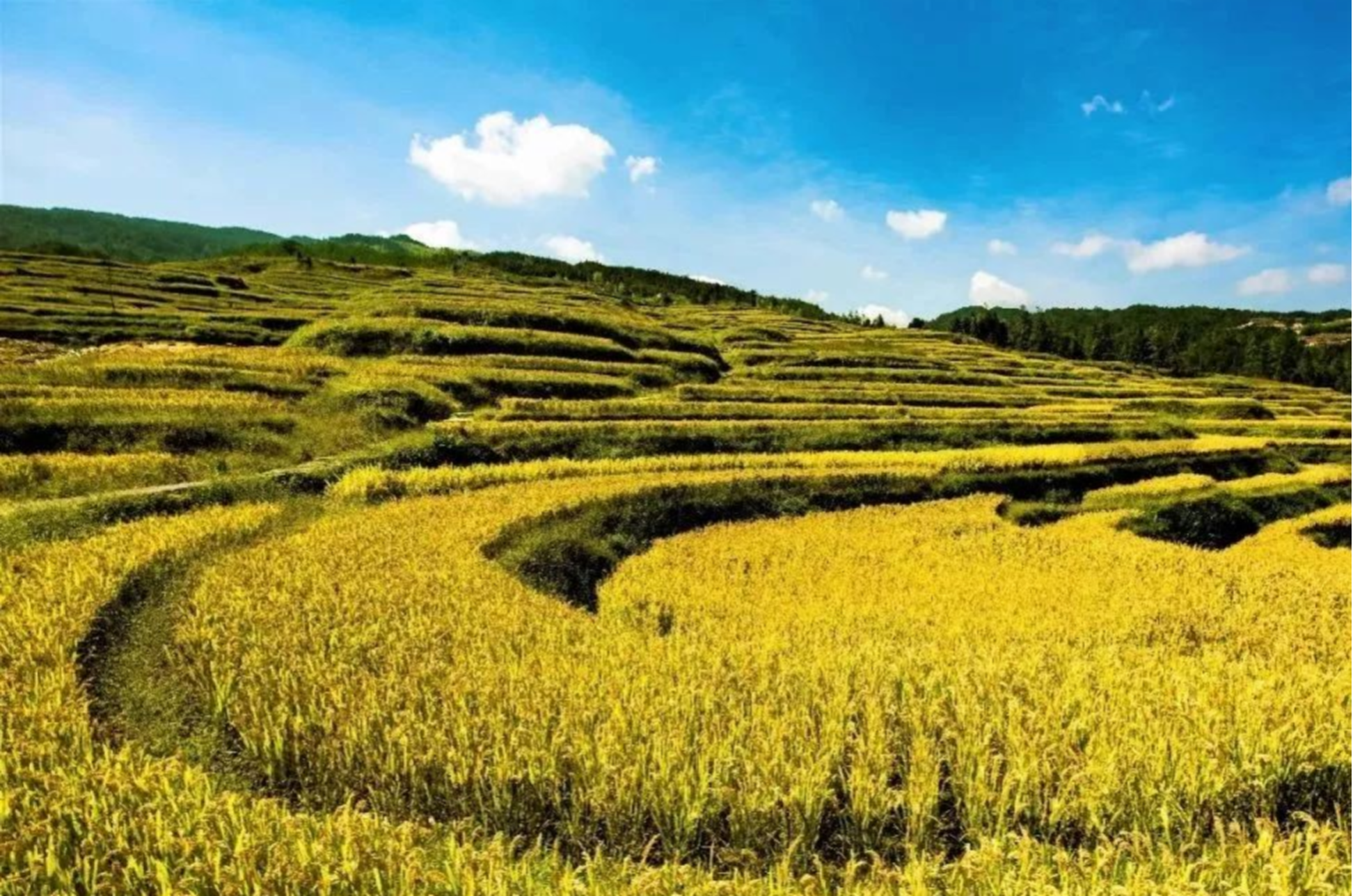 1233074126145153.png 图片2.png