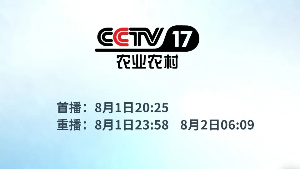 1706144828747884.png 图片1.png