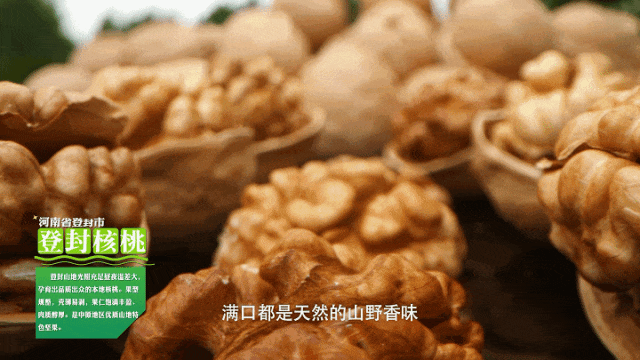 1709148770718777.png 图片5.png