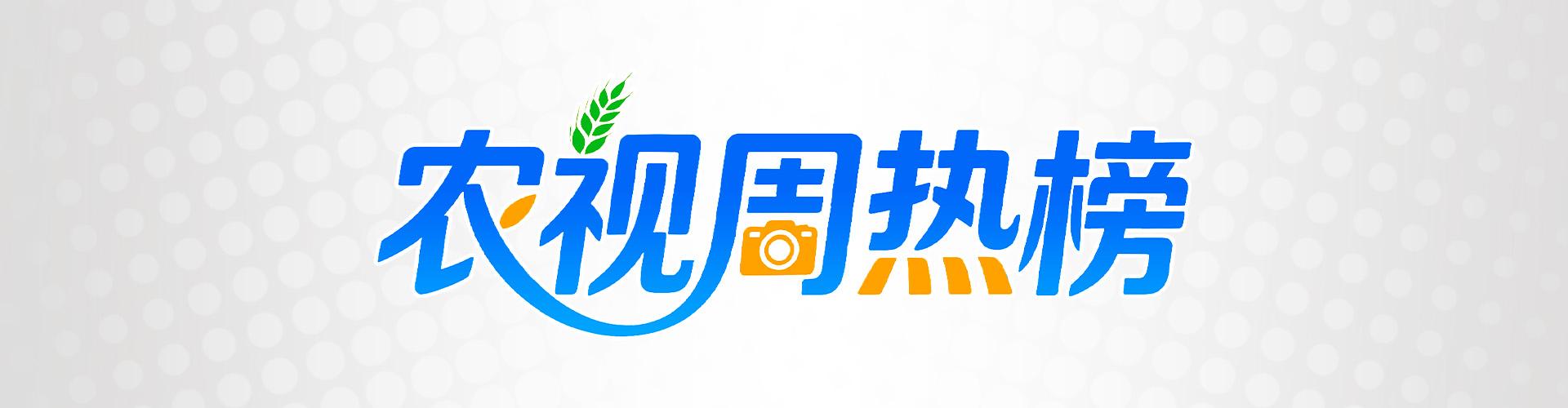 1620072095084964.jpg 周热榜.jpg