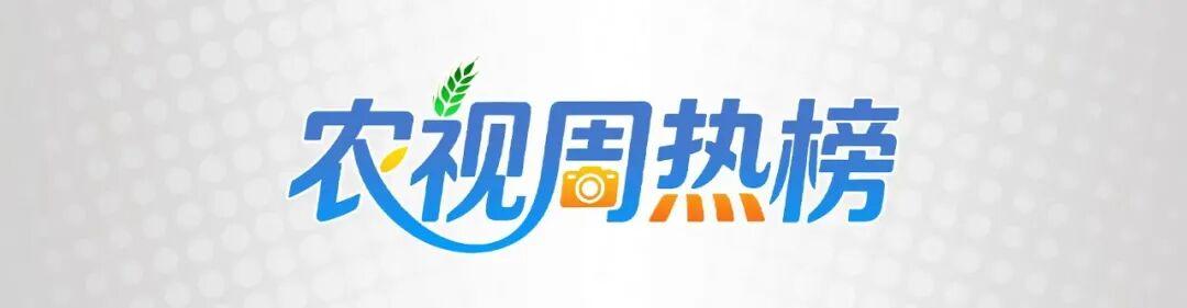 1538266850267443.jpeg 周热榜.jpeg
