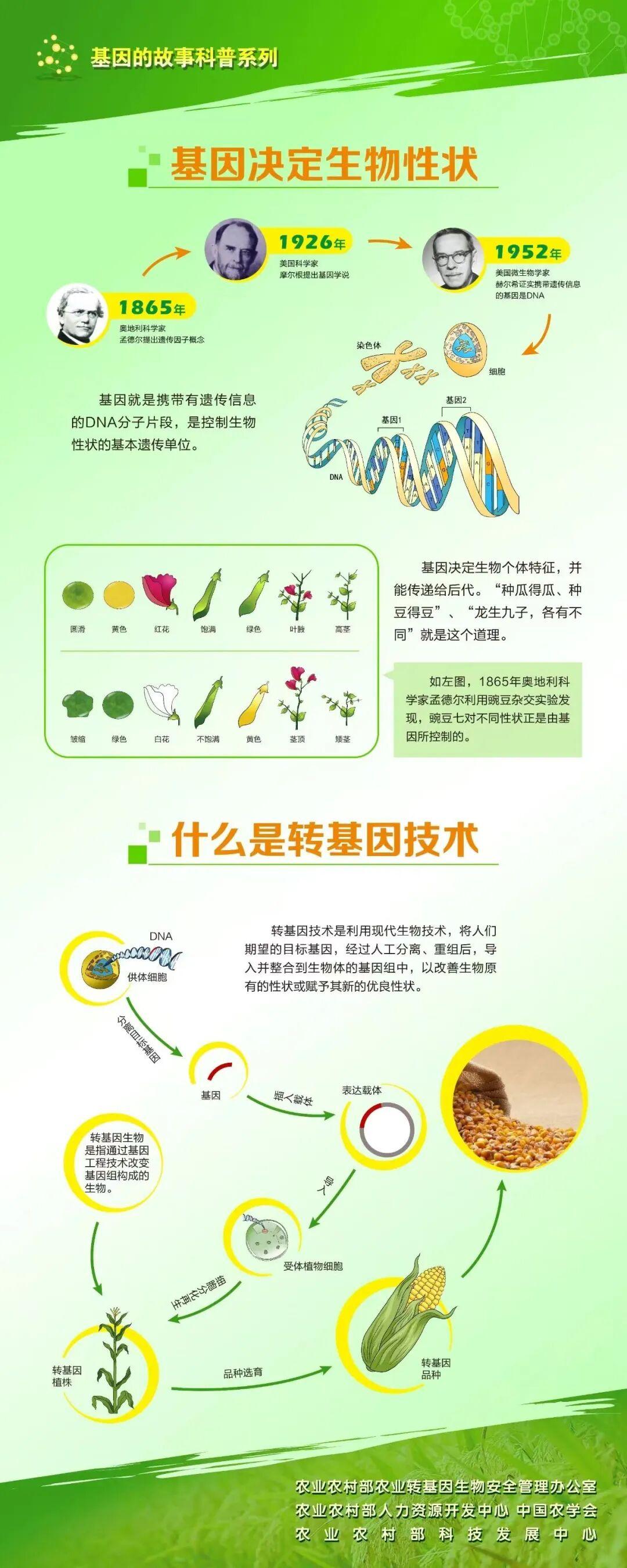 基因的故事科普系列（一）.jpeg