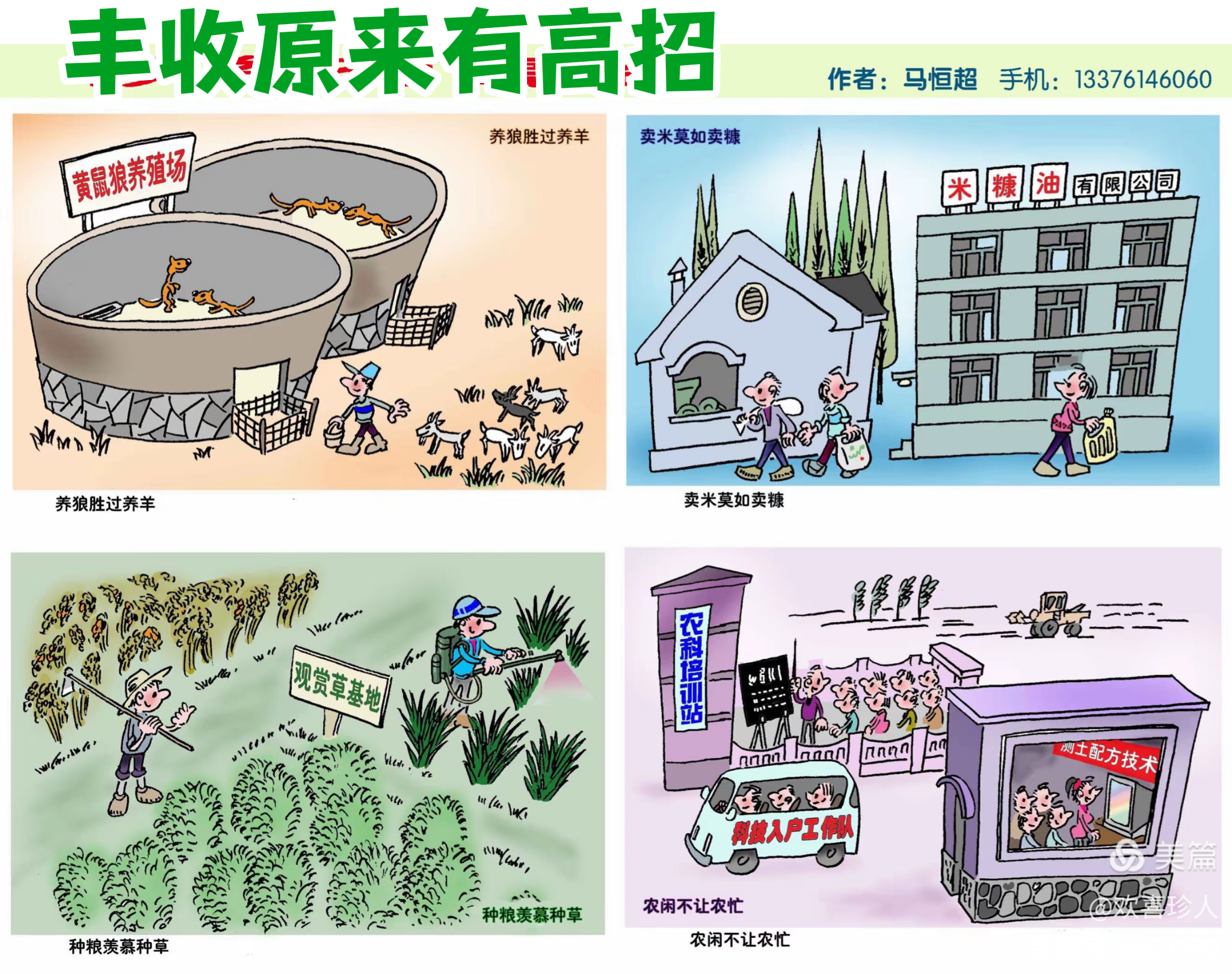 255-《丰收原来有高招》马恒超.png
