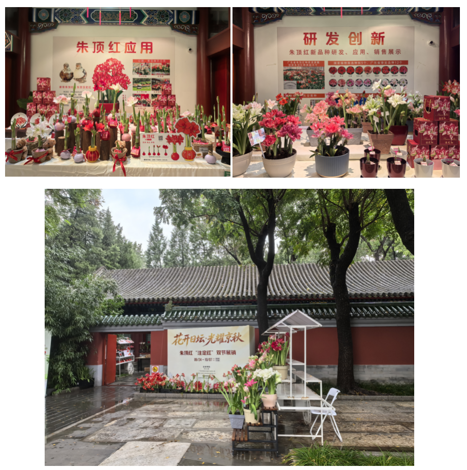 2117512353436955.png 截屏2026-09-25 21.16.20.png