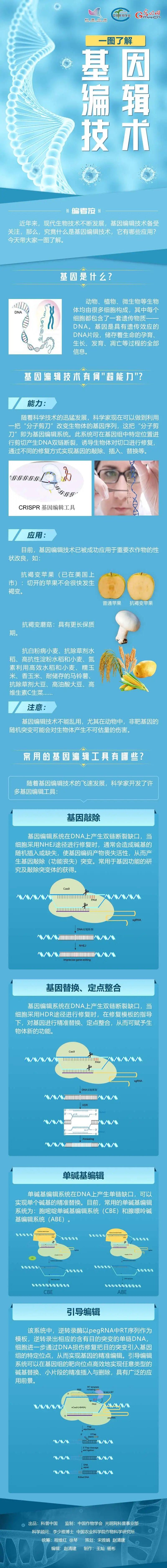 一图了解基因编辑技术.jpg