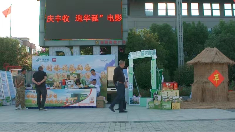 乡村电影点亮安徽颍上“平原水乡”丰收夜景(图10)