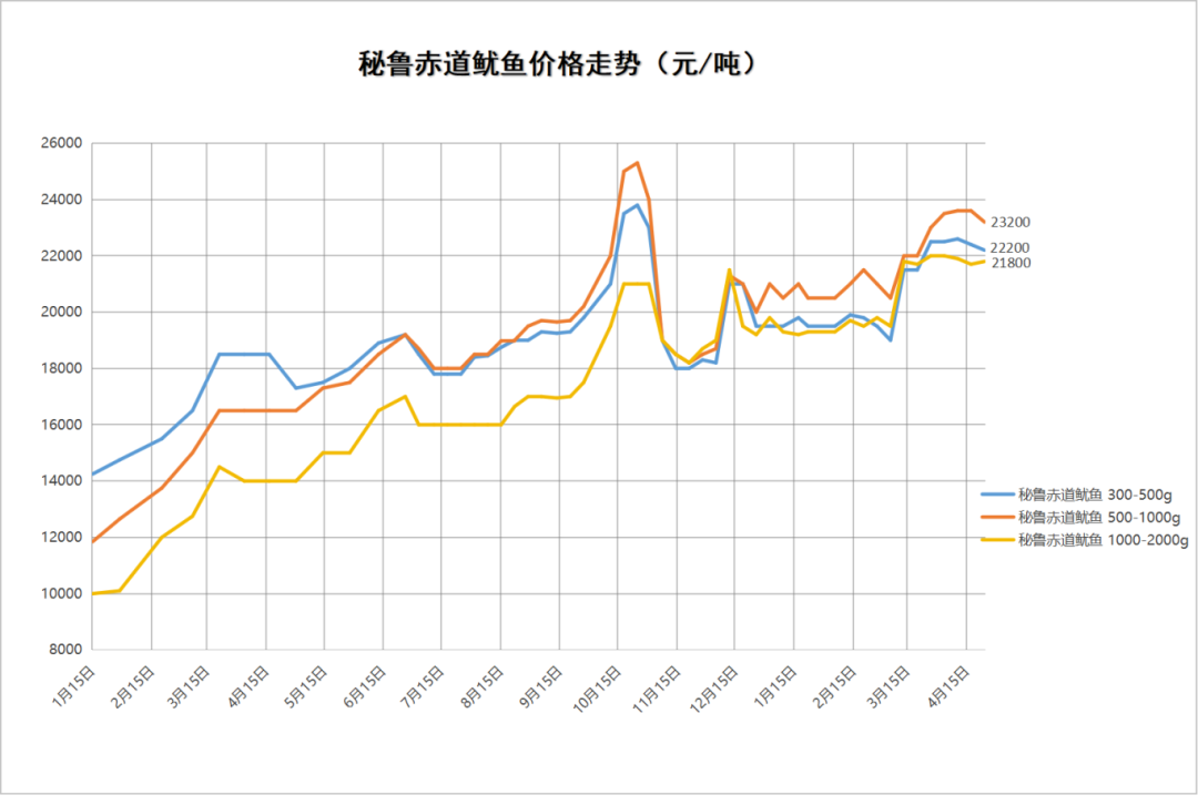 秘鲁鱿鱼.png