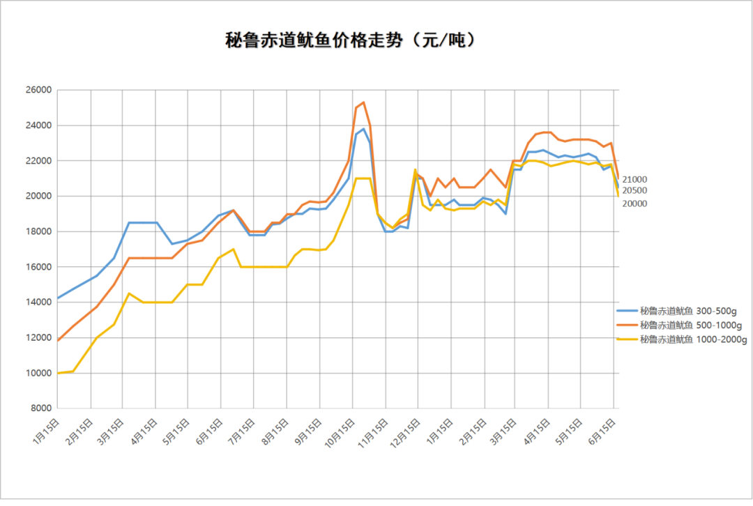 秘鲁鱿鱼.png