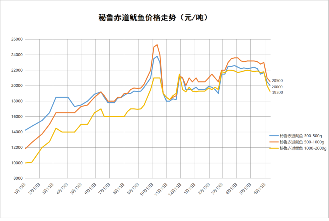 秘鲁鱿鱼.png
