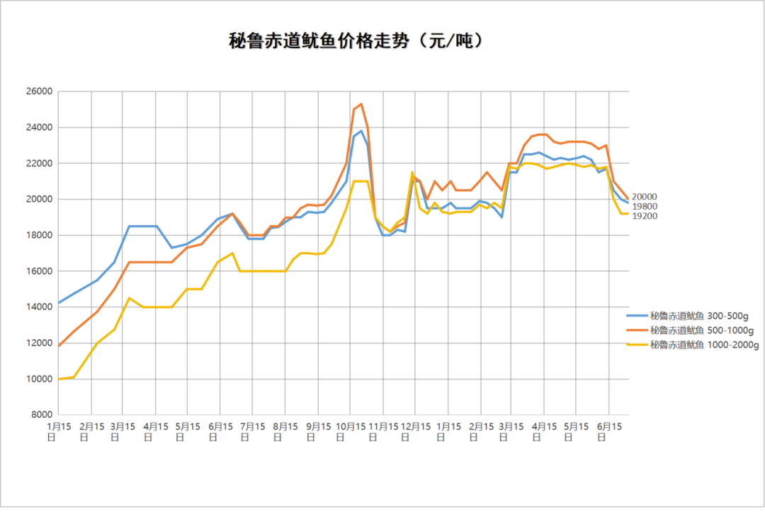 秘鲁鱿鱼.png