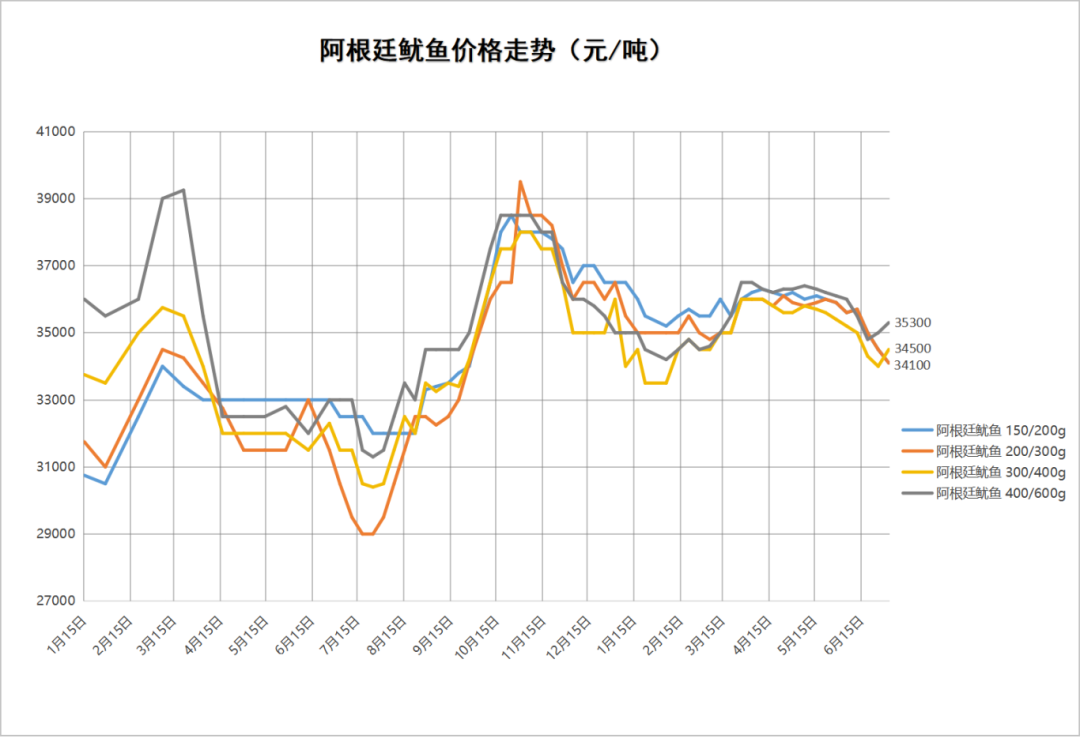 阿根廷鱿鱼.png