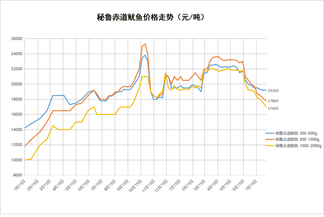 秘鲁鱿鱼图.png