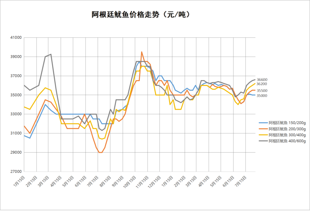 阿根廷鱿鱼.png