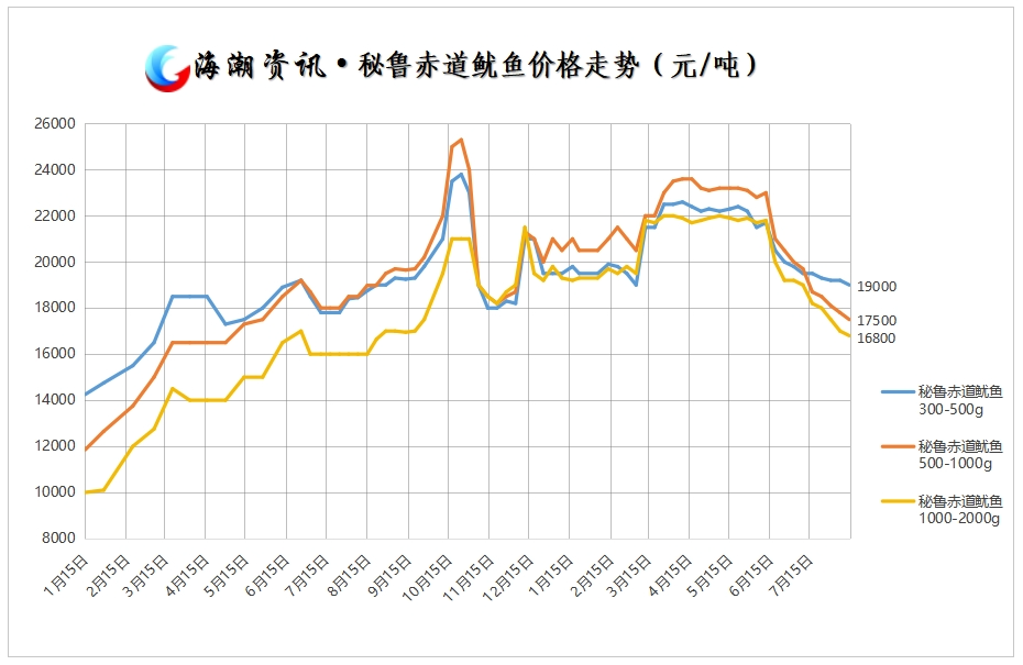 秘鲁鱿鱼.png