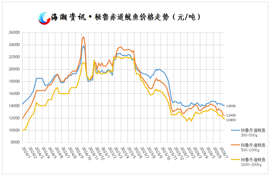 秘鲁赤道鱿鱼(表).png