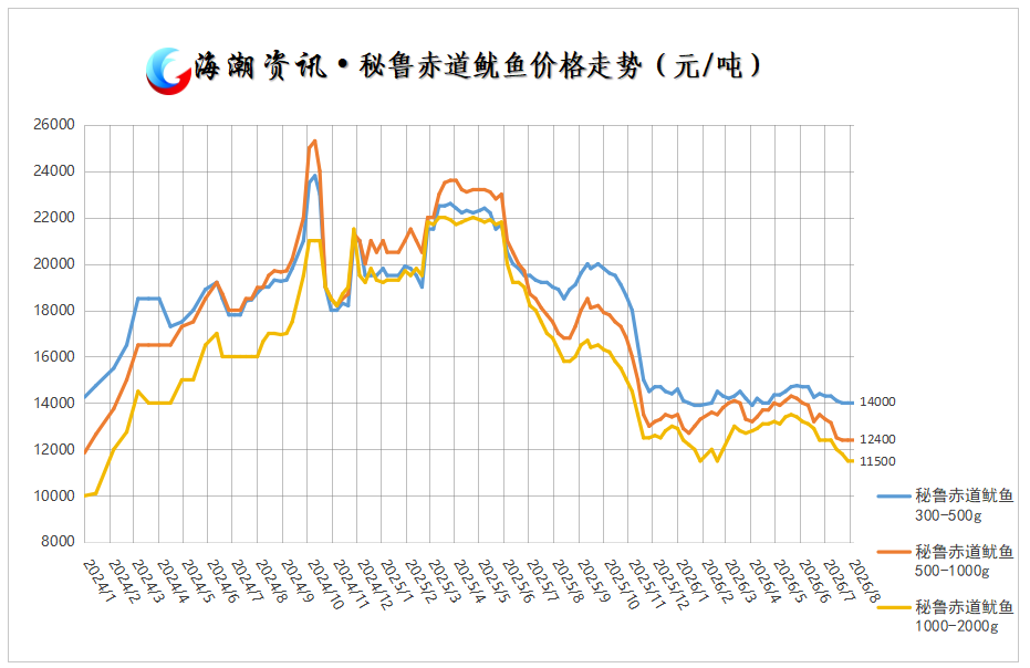 秘鲁赤道鱿鱼(表).png