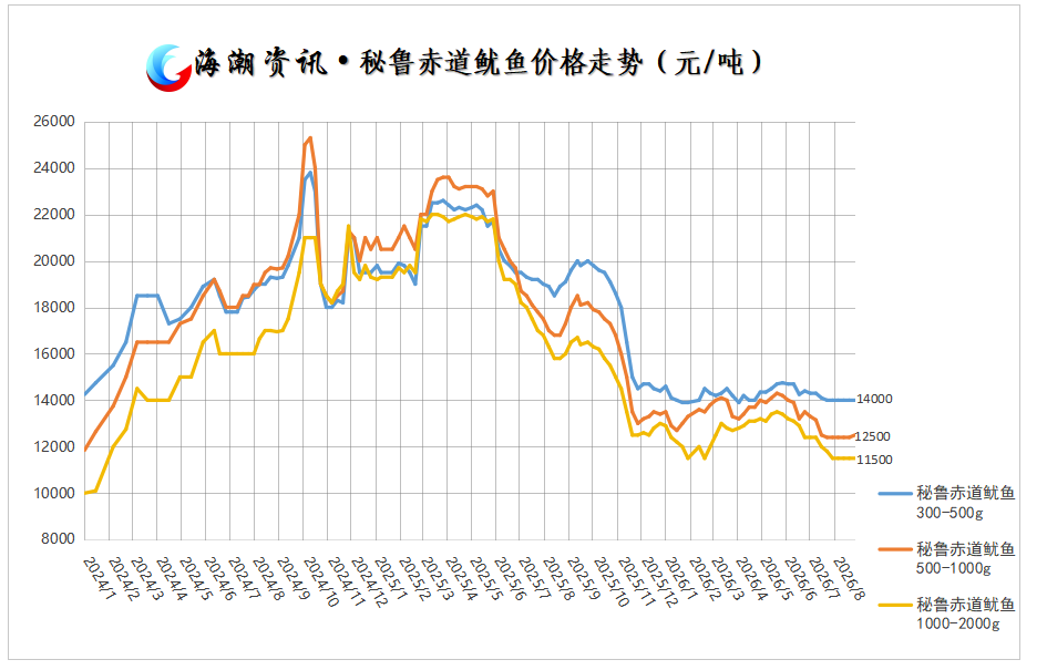 秘鲁赤道鱿鱼.png