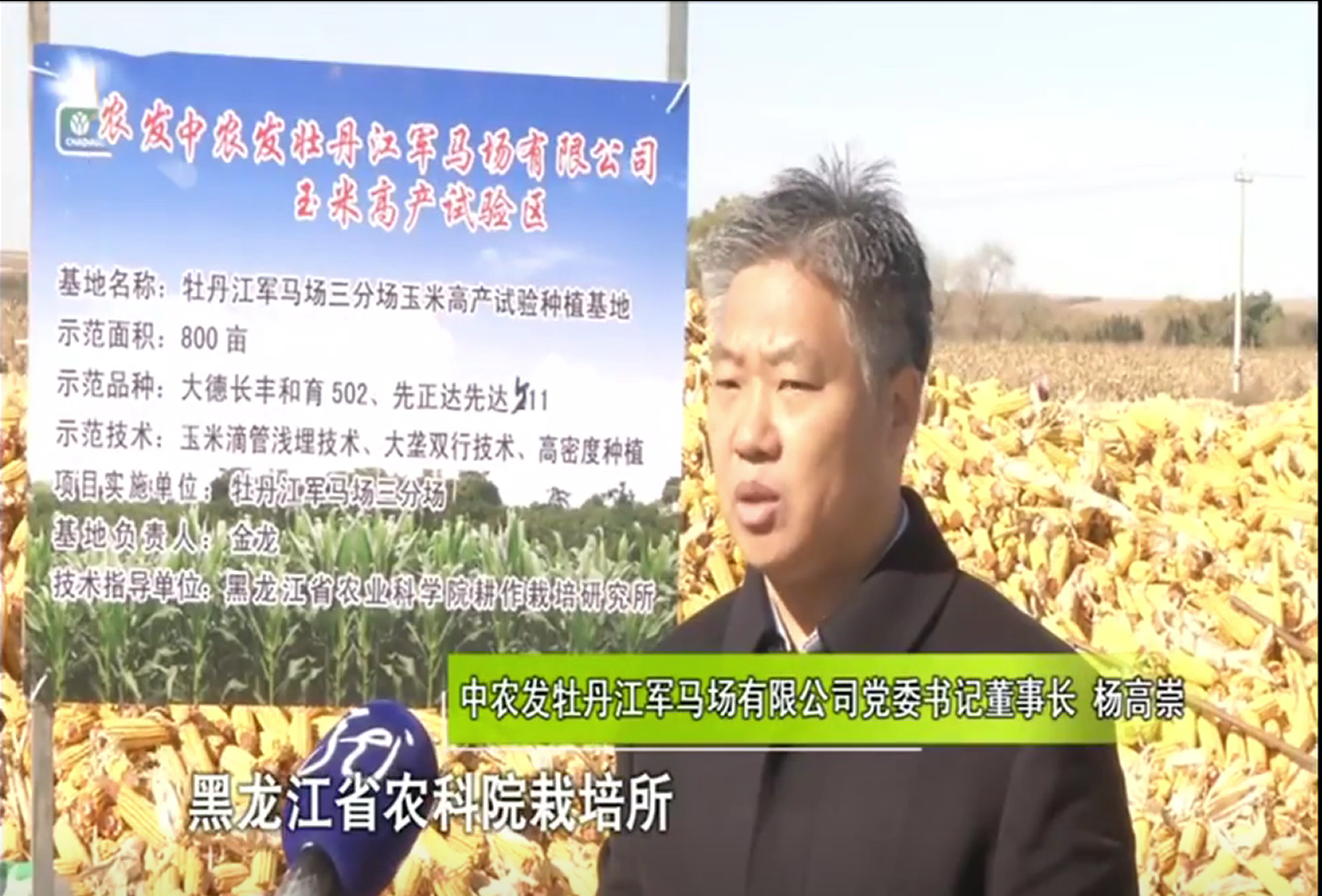 董事长.png