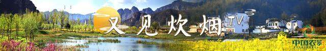 开云体育 开云平台最新资讯_农视网(图10)