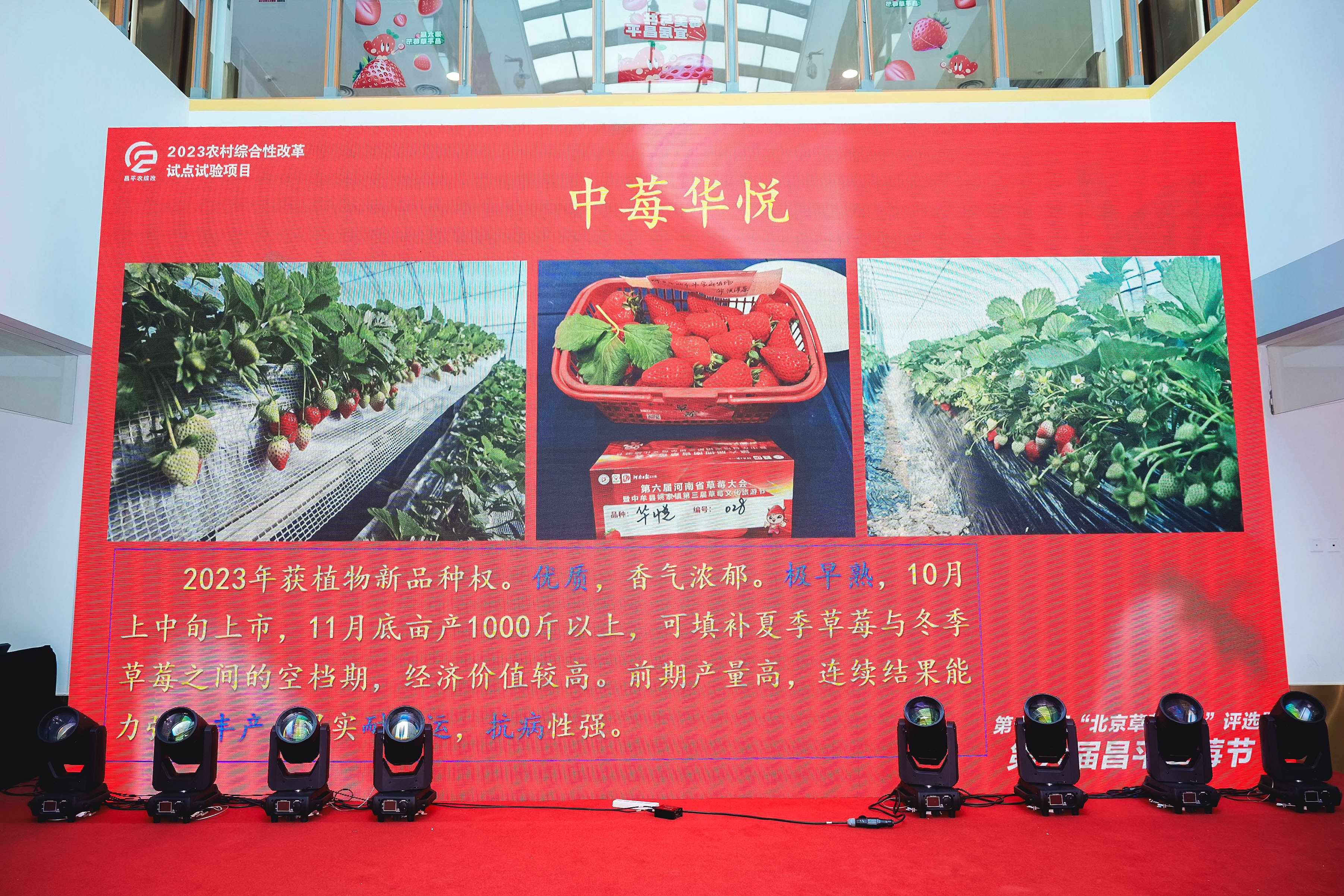 图片9.png