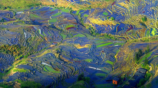1413405559011034.png