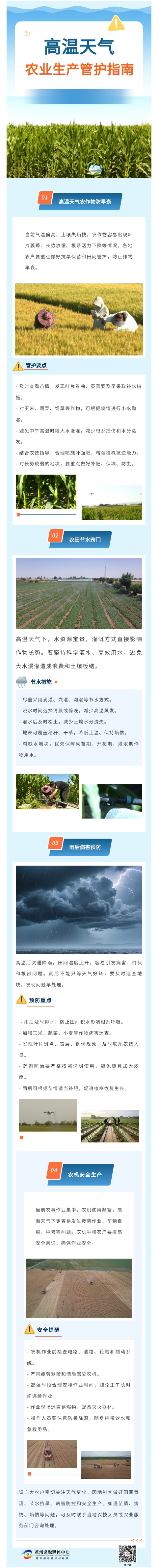 185.jpg