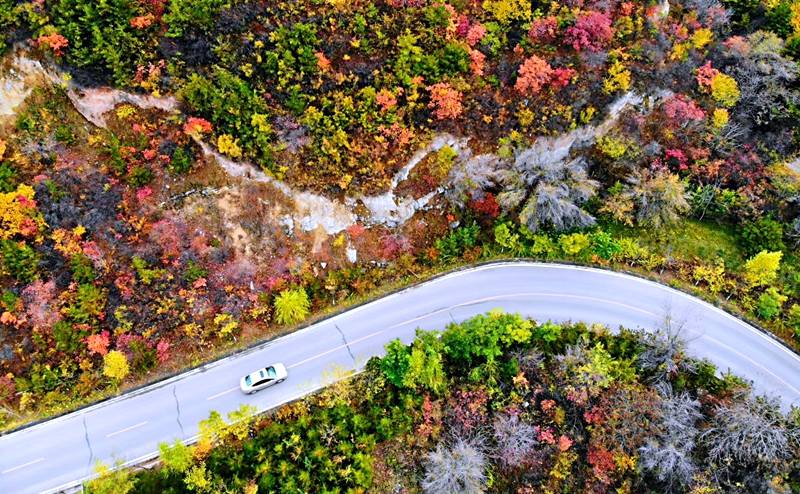晋源区狠抓生态治理力促晋祠泉稳定复流