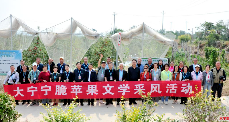 图片 2.png