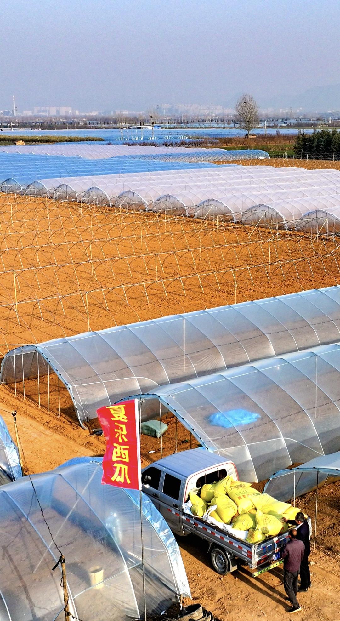 致富经大棚种植致富经2020的简单介绍