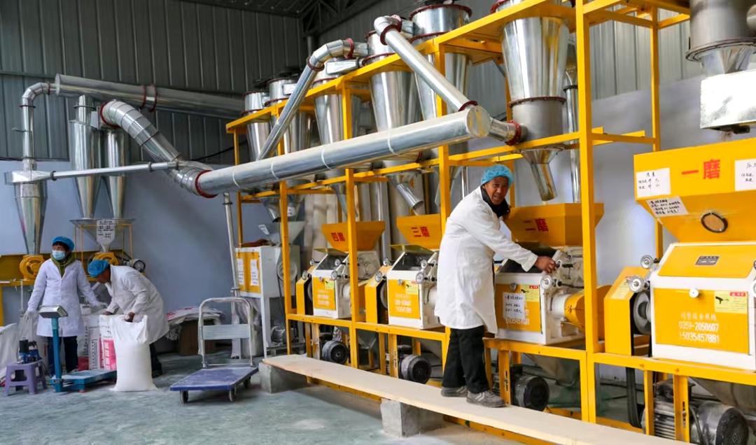 12月23日,夏县南大里乡一面粉加工厂车间内,员工在生产线上进行全麦