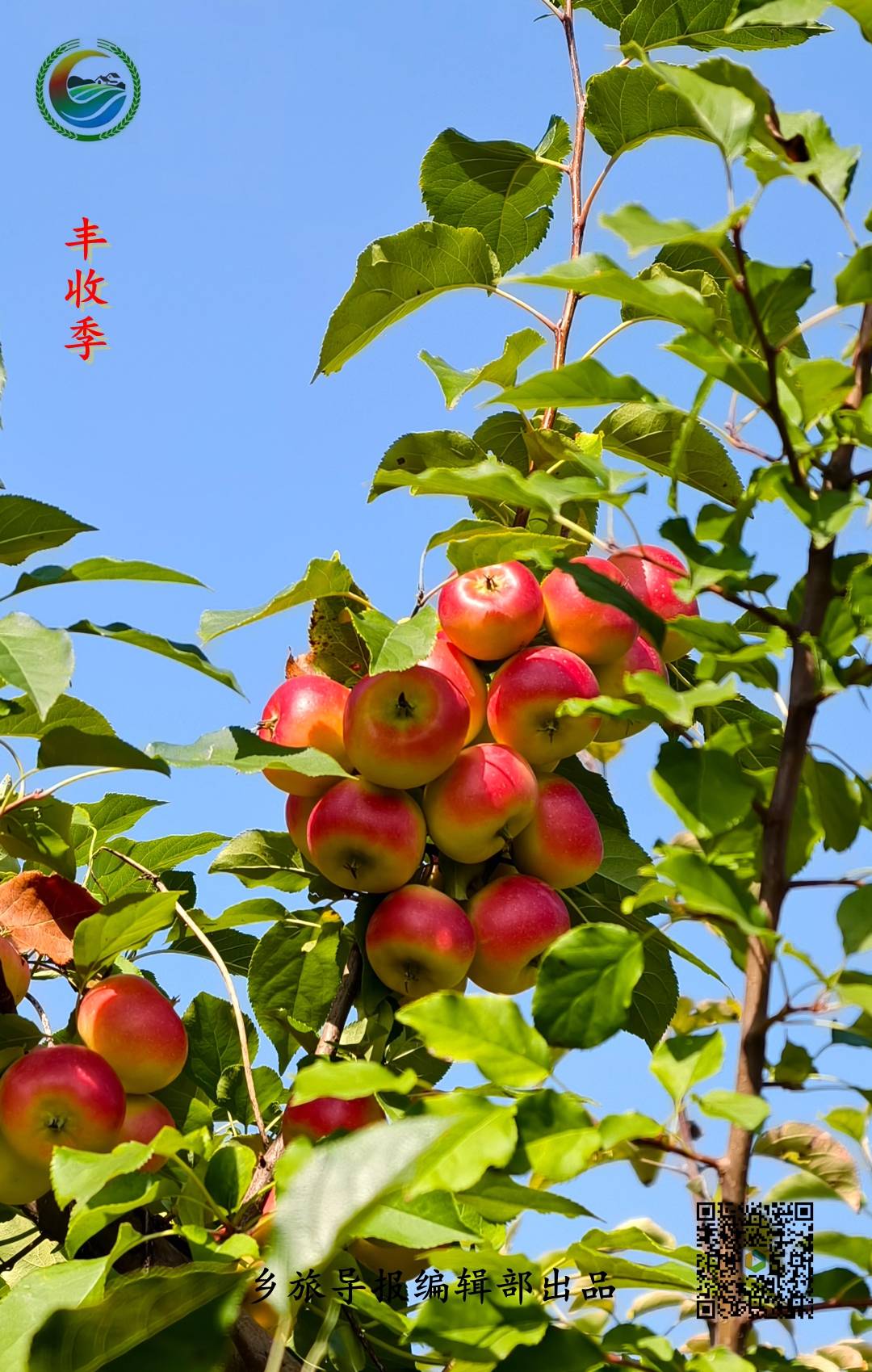 文章配图-1