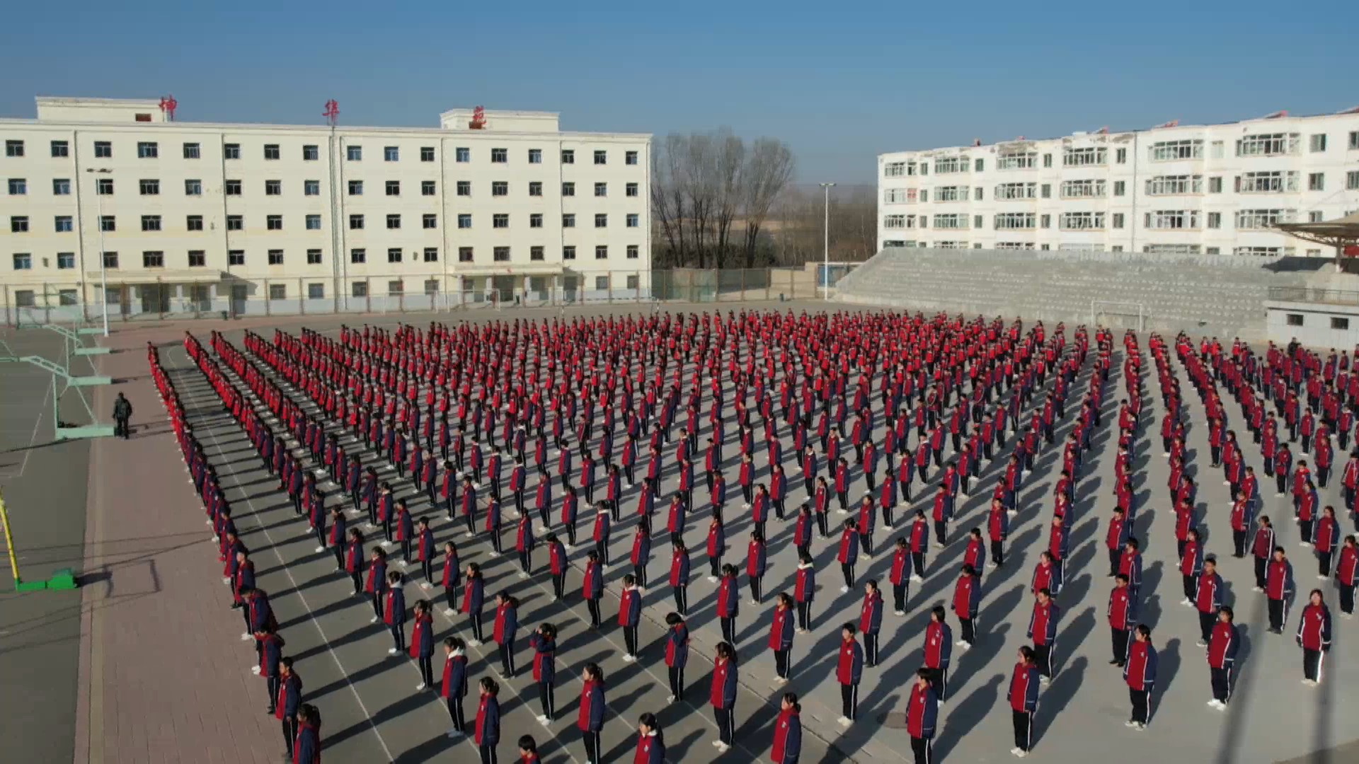 来源农视网16分钟前