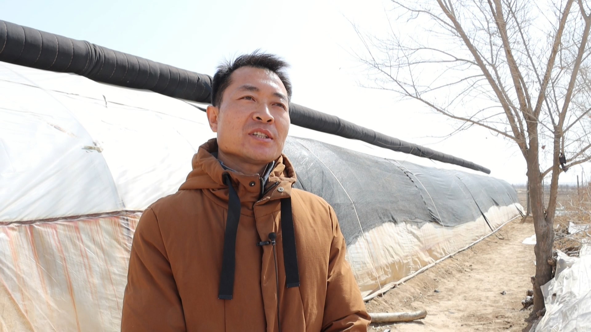 甘肃会宁高凯宣返乡创业种香菇开辟增收致富路