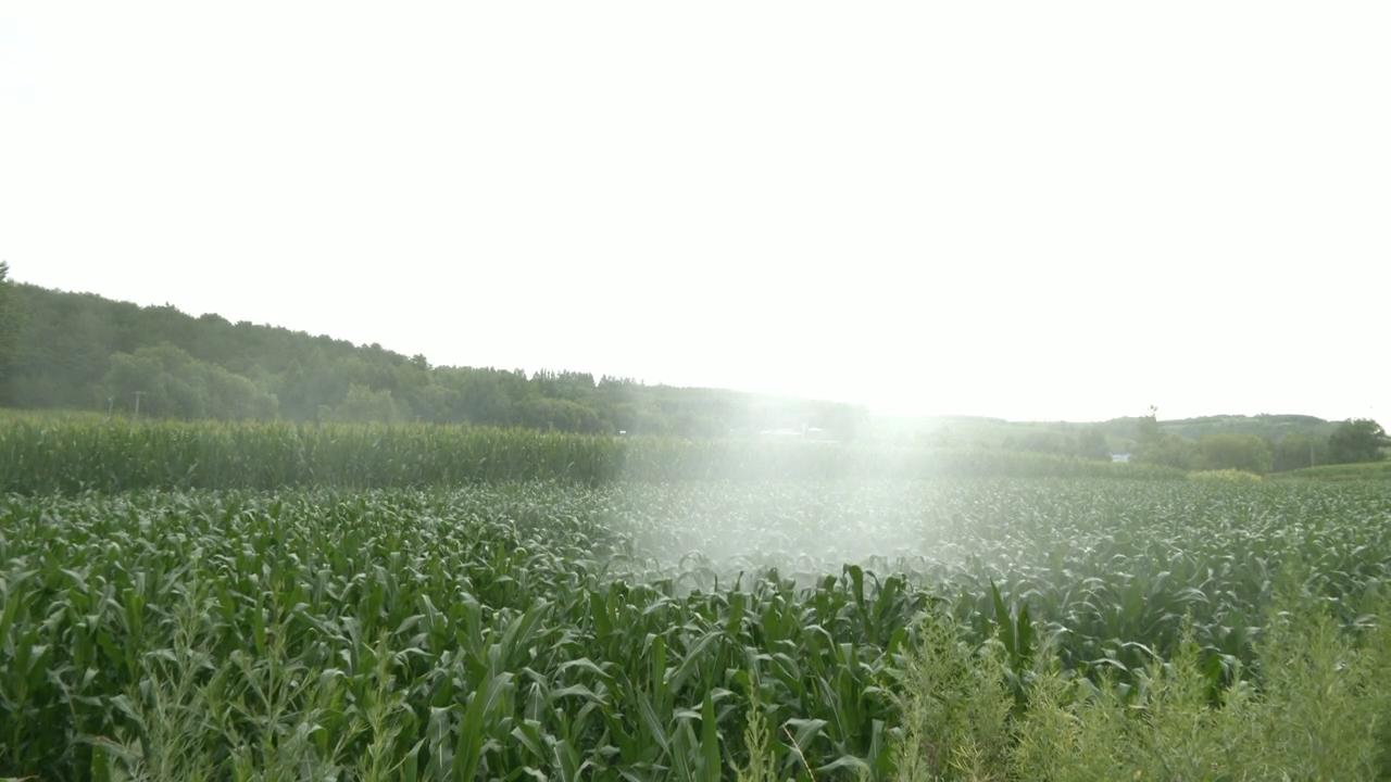 新闻2025.7.25.flv_snapshot_08.00.783.jpg