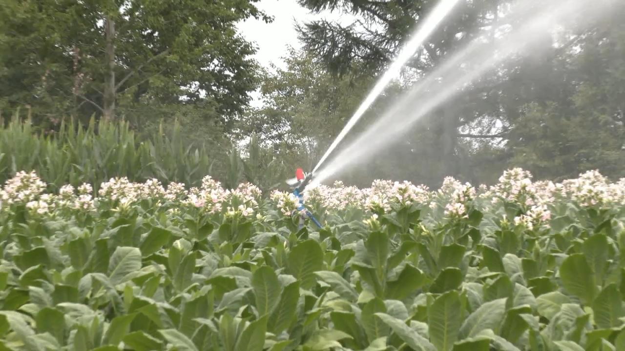 新闻2025.7.25.flv_snapshot_08.33.074.jpg