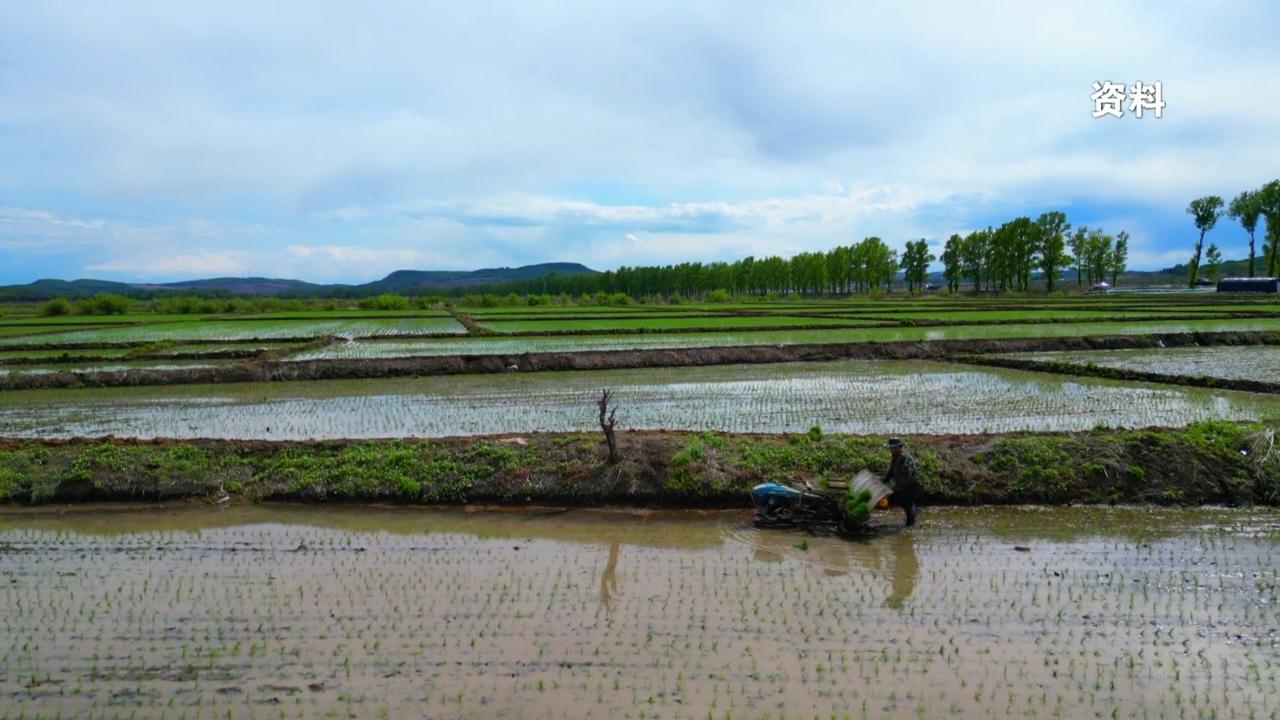 1643595359888099.jpg 东宁新闻2026.4.13.flv_snapshot_05.17.494.jpg