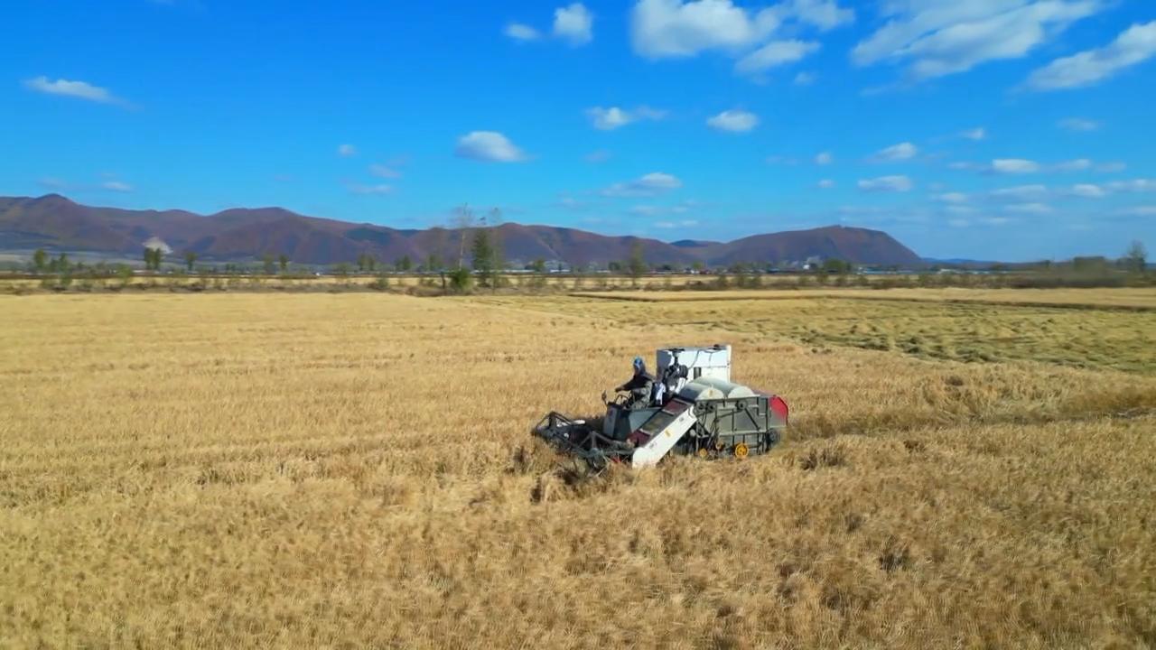 0920335924770052.jpg 新闻2026.8.26.flv_snapshot_05.34.123.jpg