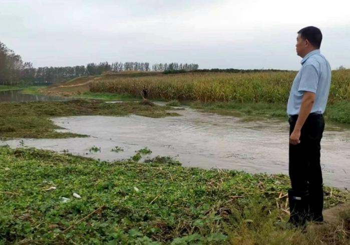  Runan County, Zhumadian City: Drainage, waterlogging removal and bumper harvest