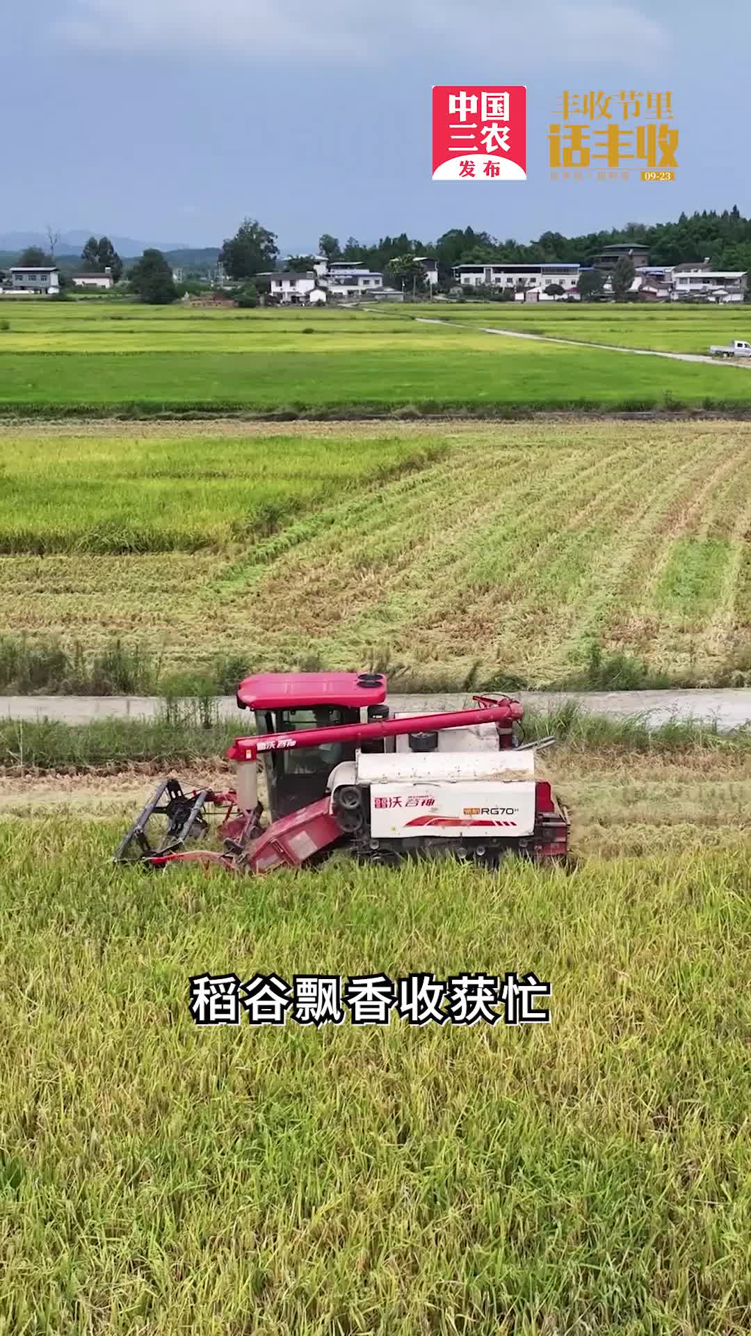  China's agriculture, rural areas and farmers released the talk of bumper harvest in the V # Harvest Festival of the All Network University