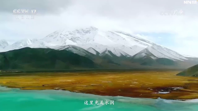 品木亚格杏 赏新疆美景