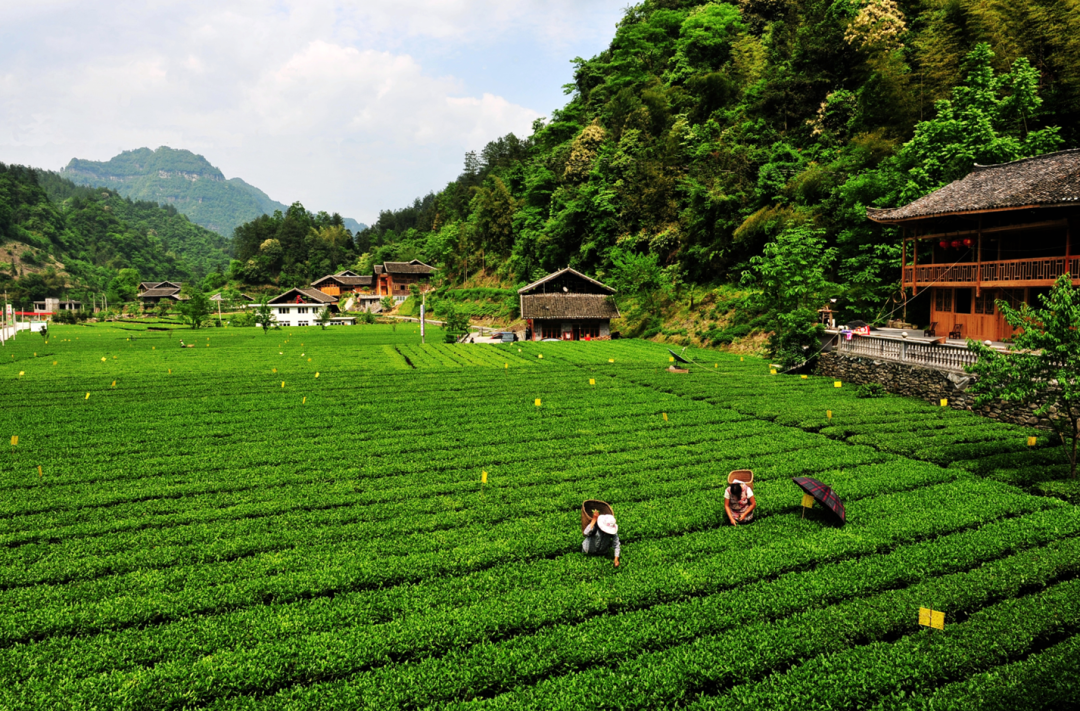 咸丰位于地球神秘的北纬三十度线上,地处武陵山腹地,鄂西南边陲,境内