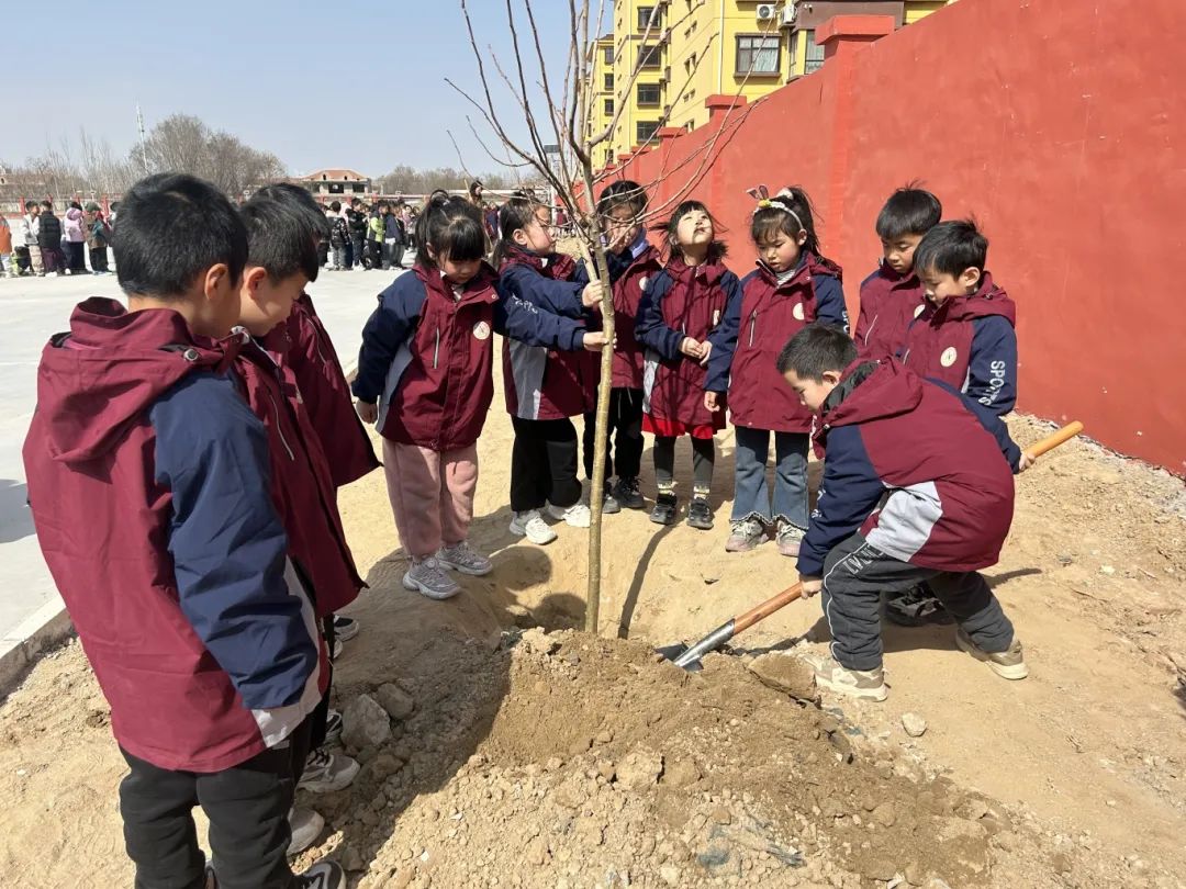 西郭城镇中心小学观寨校区小寨小学县特教学校巨鹿二中植树造林 功在