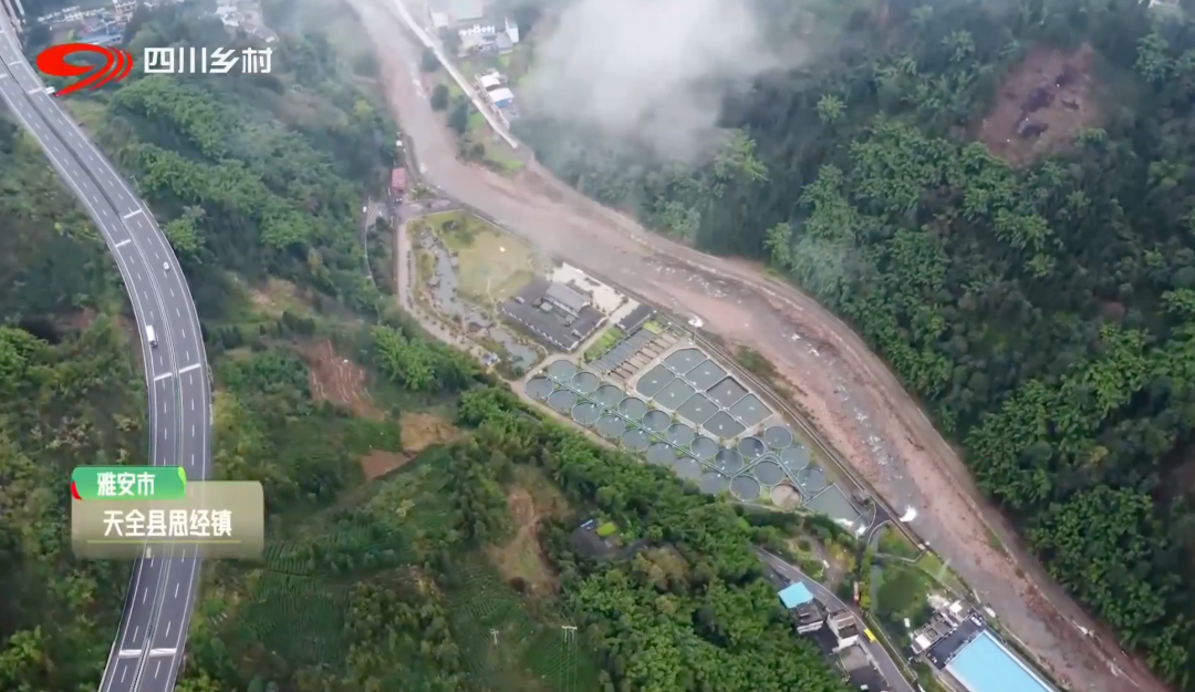 在2008 年,受汶川大地震影响他建彭州的养殖基地损失严重.