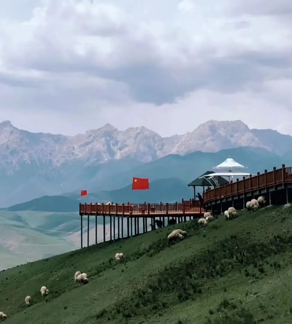 寻美揽胜暑我会游夏日避暑胜地天祝