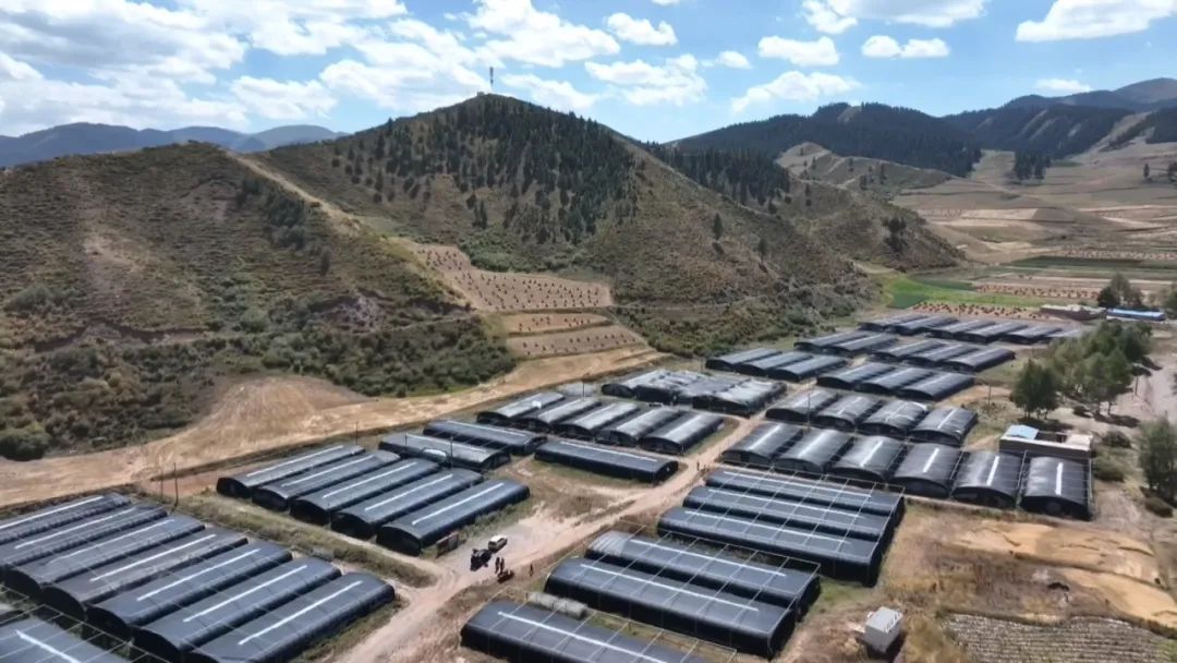 天祝县黑沟村浇灌丰收希望田走上增收幸福路